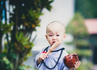 Sao phải cắn răng chịu đựng trong tủi nhục Sao phải cắn răng chịu đựng trong tủi nhục