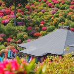 Shiofune Kannon-Ji cổ kính giữa ngọn đồi đỗ quyên Shiofune Kannon-Ji cổ kính giữa ngọn đồi đỗ quyên