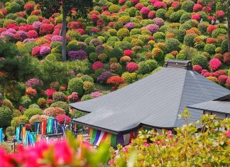Shiofune Kannon-Ji cổ kính giữa ngọn đồi đỗ quyên Shiofune Kannon-Ji cổ kính giữa ngọn đồi đỗ quyên