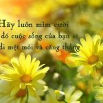 Sinh – Lão – Bệnh – Tử là Quy Luật Của Đời Người Sinh - Lão - Bệnh - Tử là Quy Luật Của Đời Người