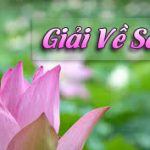 Tam Độc Và Pháp Đối Trị – Giải Về Sân Tam Độc Và Pháp Đối Trị - Giải Về Sân