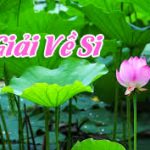 Tam Độc và Pháp Đối Trị – Giải Về Si Tam Độc và Pháp Đối Trị - Giải Về Si