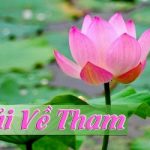 Tam Độc và Pháp Đối Trị – Giải Về Tham Tam Độc và Pháp Đối Trị - Giải Về Tham