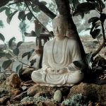 Tâm và Thiền trong đời sống hằng ngày Tâm và Thiền trong đời sống hằng ngày