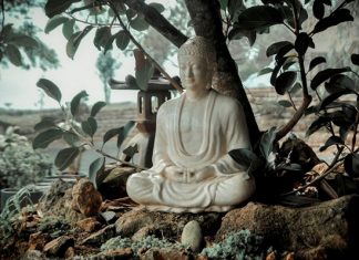 Tâm và Thiền trong đời sống hằng ngày Tâm và Thiền trong đời sống hằng ngày