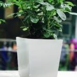 Tận dụng cả trong lẫn ngoài để thành công tan-dung-ca-trong-lan-ngoai-de-thanh-cong