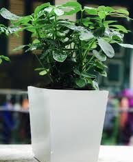 Tận dụng cả trong lẫn ngoài để thành công tan-dung-ca-trong-lan-ngoai-de-thanh-cong