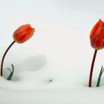 Tập Nói Lời Xin Lỗi Tập Nói Lời Xin Lỗi (Phần 1)