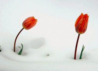 Tập Nói Lời Xin Lỗi Tập Nói Lời Xin Lỗi (Phần 1)