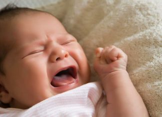 Thân là gốc khổ Thân là gốc khổ
