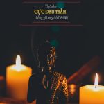 Cần nhân đạo hơn với loài cầm thú