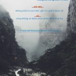 Cuộc đua không người chiến thắng