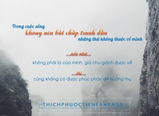 Cuộc đua không người chiến thắng