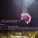 Đẹp từ trong tâm là cái đẹp vẹn toàn nhất