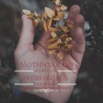 Cảm ơn nghịch cảnh