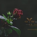 Tâm tĩnh lặng thì lòng người sẽ được an yên