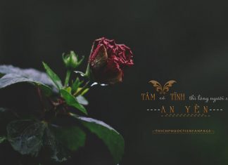 Tâm tĩnh lặng thì lòng người sẽ được an yên