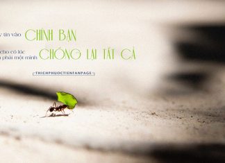 Sóng gió cuộc đời nuôi ta lớn
