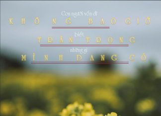 Trân trọng những gì mình đang có