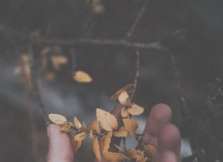 Từ Bỏ theo lời Phật dạy