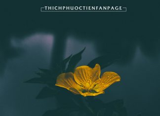 Tham ái là nguyên nhân đau khổ