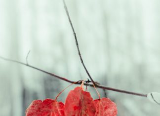 Lúc gặp nhau thì hãy cứ vui