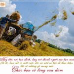 Thơ, hoa và nụ cười (Phần 02) Thơ, hoa và nụ cười (Phần 02)