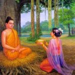 Thực phẩm của Tăng Thực phẩm của Tăng