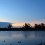 Tiếng chuông trôi trên sông