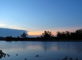 Tiếng chuông trôi trên sông
