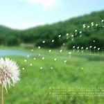 Tiếng Nhạc Lòng Tiếng Nhạc Lòng