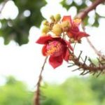 Trọn vẹn với hôm nay Trọn vẹn với hôm nay