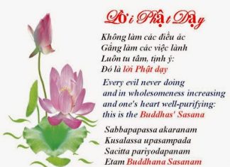 Trường học giác ngộ Trường học giác ngộ