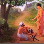 Từ bi tu-bi
