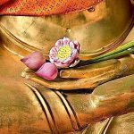 Uống dòng suối núi (Phần 8) Uống dòng suối núi (Phần 8)