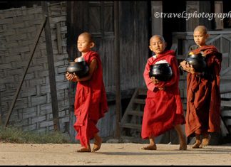 Vô tình sát sanh có tội không? Vô tình sát sanh có tội không?