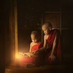 Vòng tròn cuộc sống Vòng tròn cuộc sống