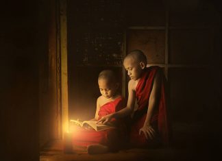 Vòng tròn cuộc sống Vòng tròn cuộc sống