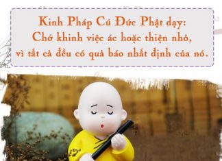 Vứt Rác Đúng Cách Cũng Là Chân Tu Vứt Rác Đúng Cách Cũng Là Chân Tu