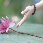 Xử lý vấn đề tình cảm trong Phật giáo Xử lý vấn đề tình cảm trong Phật giáo