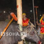 “Lá thư đẫm nước mắt của một con heo” “Lá thư đẫm nước mắt của một con heo”