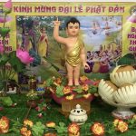 Những hình ảnh về vườn Lâm Tỳ Ni được thiết trí tại tư gia (đợt 1)