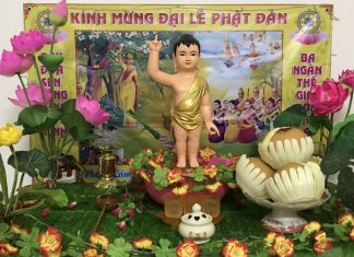 Những hình ảnh về vườn Lâm Tỳ Ni được thiết trí tại tư gia (đợt 1)