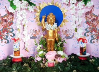 Những hình ảnh về vườn Lâm Tỳ Ni được thiết trí tại tư gia (đợt 3)