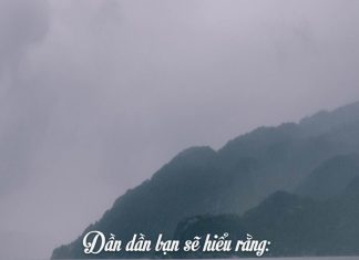 Tùy duyên đến – đi