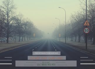 Hãy yêu thương khi còn có thể