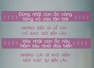 Người Sẽ Đồng Hành Với Bạn Đến Cuối Cuộc Đời !