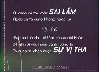 Tha thứ là tìm sự bình yên cho chính mình chứ không phải cho người khác