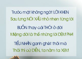 Chê chớ vội sầu, khen chớ vội vui