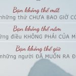 Tình yêu, thà muộn màng, còn hơn vội vã